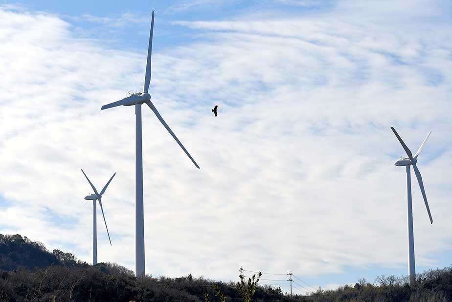 風力発電