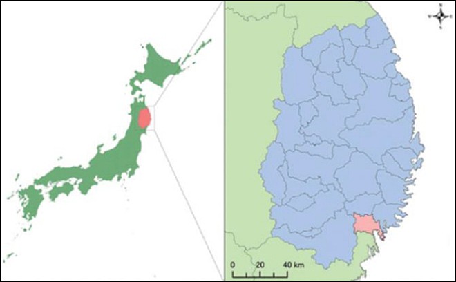 art_00110_本文_01