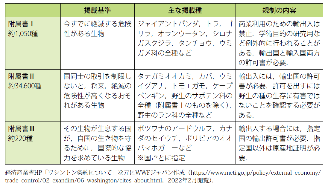 art_00361_本文_03