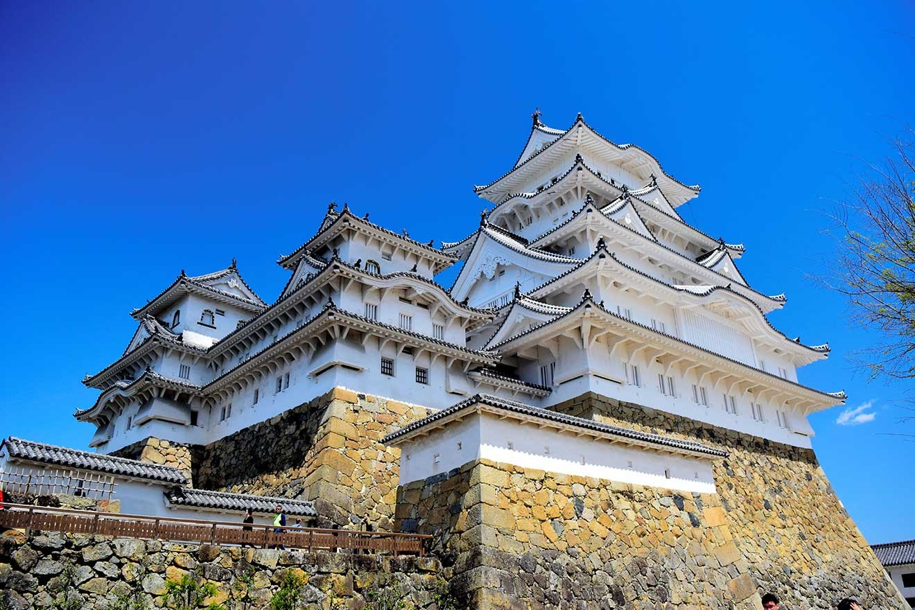 art_00367_本文_01