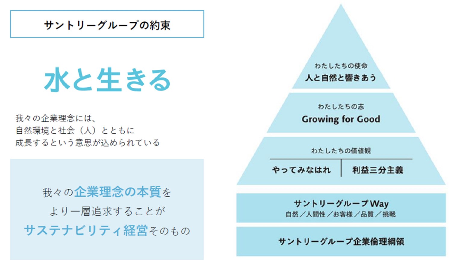 art_00075_本文1