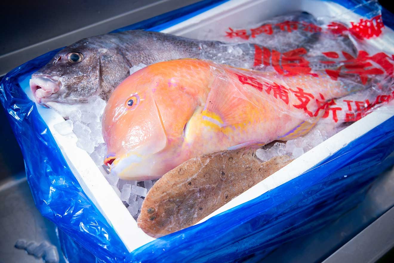 地元・福岡の漁師から買い付けた未利用魚。季節によって様々な種類の未利用魚が水揚げされる(ベンナーズ提供)