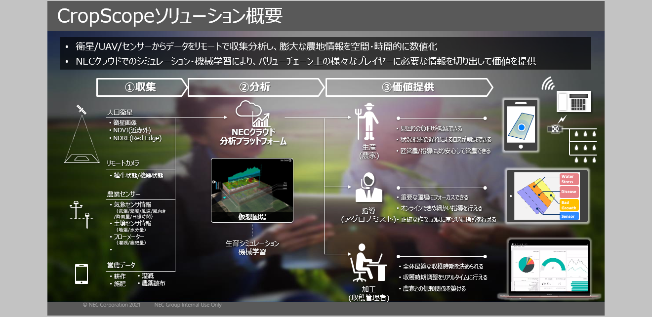 NEC - イチゴ 鶏冠果 とくしまオーガニックいちご・さちのか 1箱 | BUTTOBI