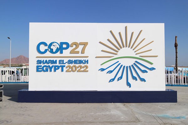 COP27閉幕　気候変動に世界はどう向き合うか　WWFと考える～SDGsの実践～【12】