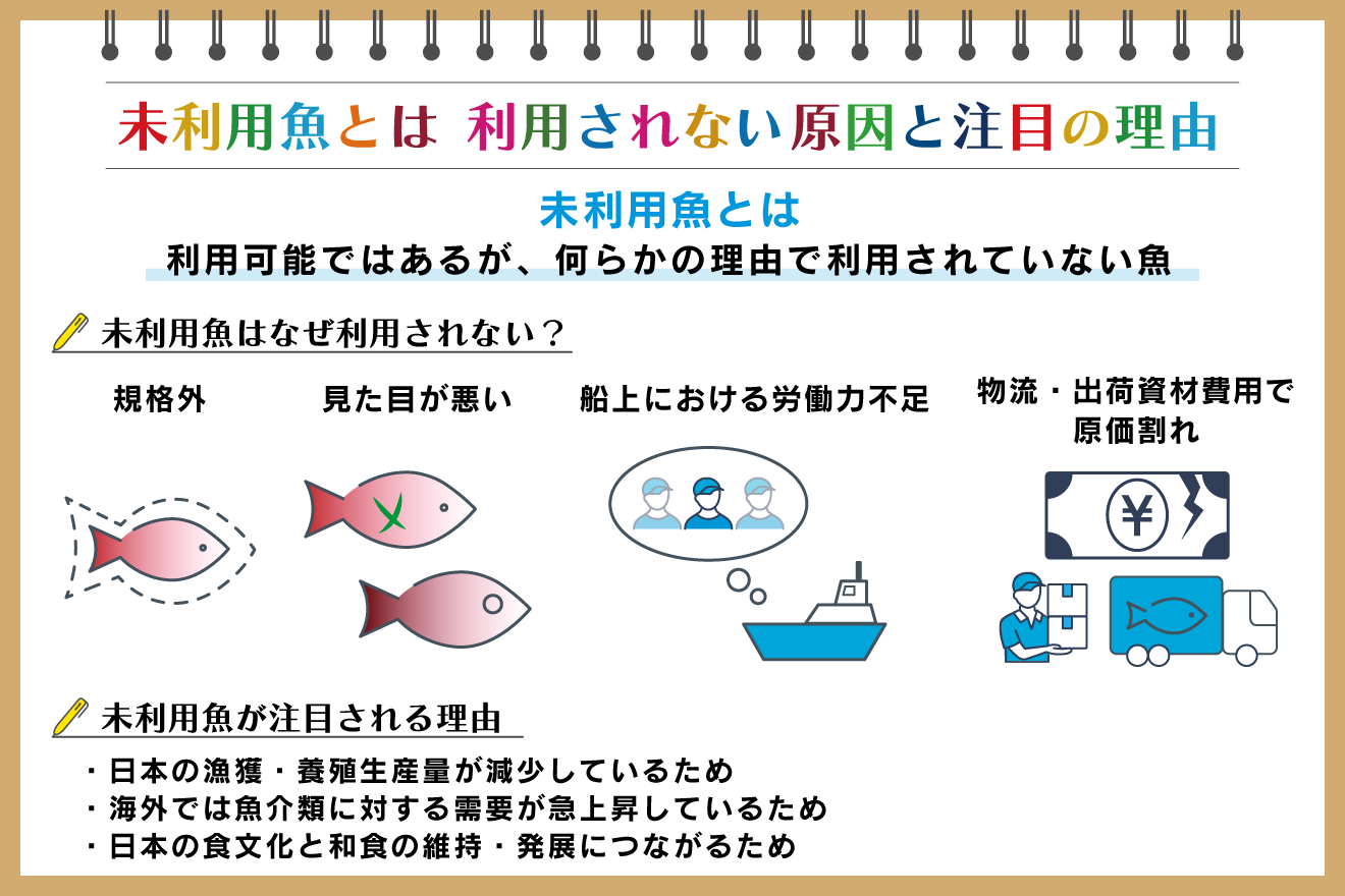 未利用魚とは？ 利用されない原因や注目の理由、活用事例を紹介：朝日新聞SDGs ACTION!