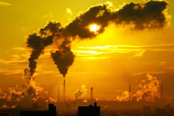 CO2排出量が少ない企業こそカーボンクレジット活用を　村上芽の「SDGsで使えるデータ」【6】
