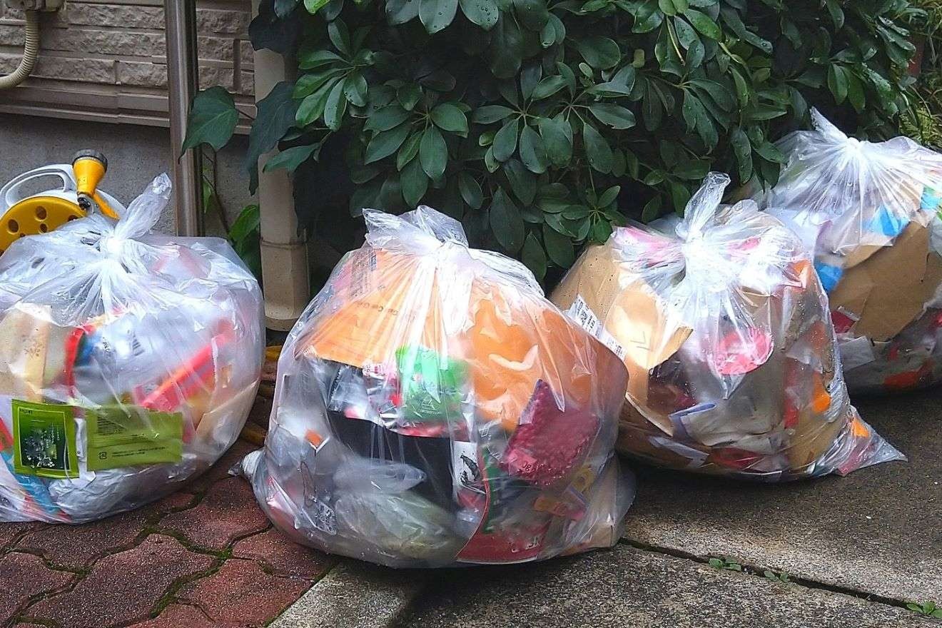 1人当たりのごみや水の量が地域で違うのは？ 村上芽の「SDGsで使える 
