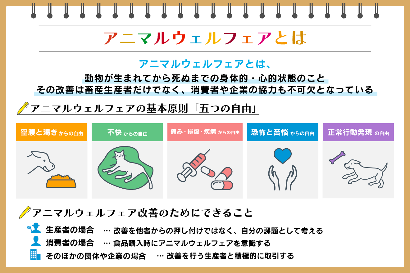 アニマルウェルフェアとは？ 意味や日本の現状、課題を専門家が解説