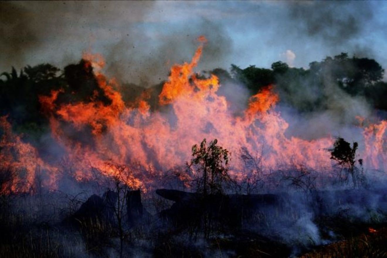 食品ロスは温暖化の主犯格 知られざる気候変動との関係 Sdgs Action 朝日新聞デジタル