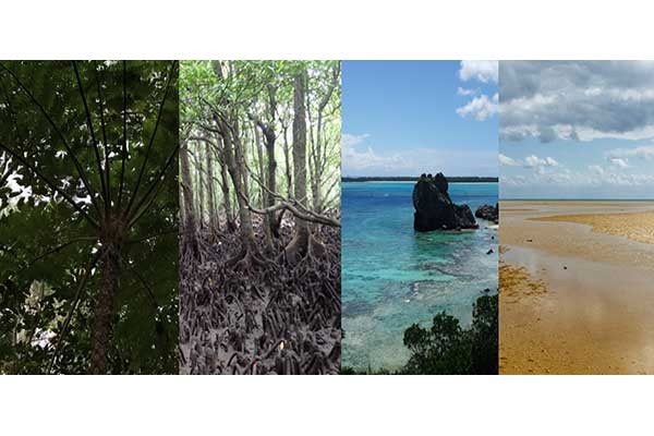 世界自然遺産登録から1年　南西諸島の今とこれから　WWFと考える～SDGsの実践～【7】